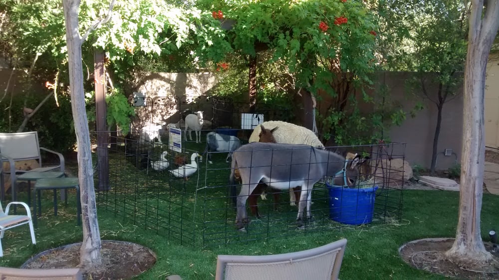 Photo of Barnyardville
