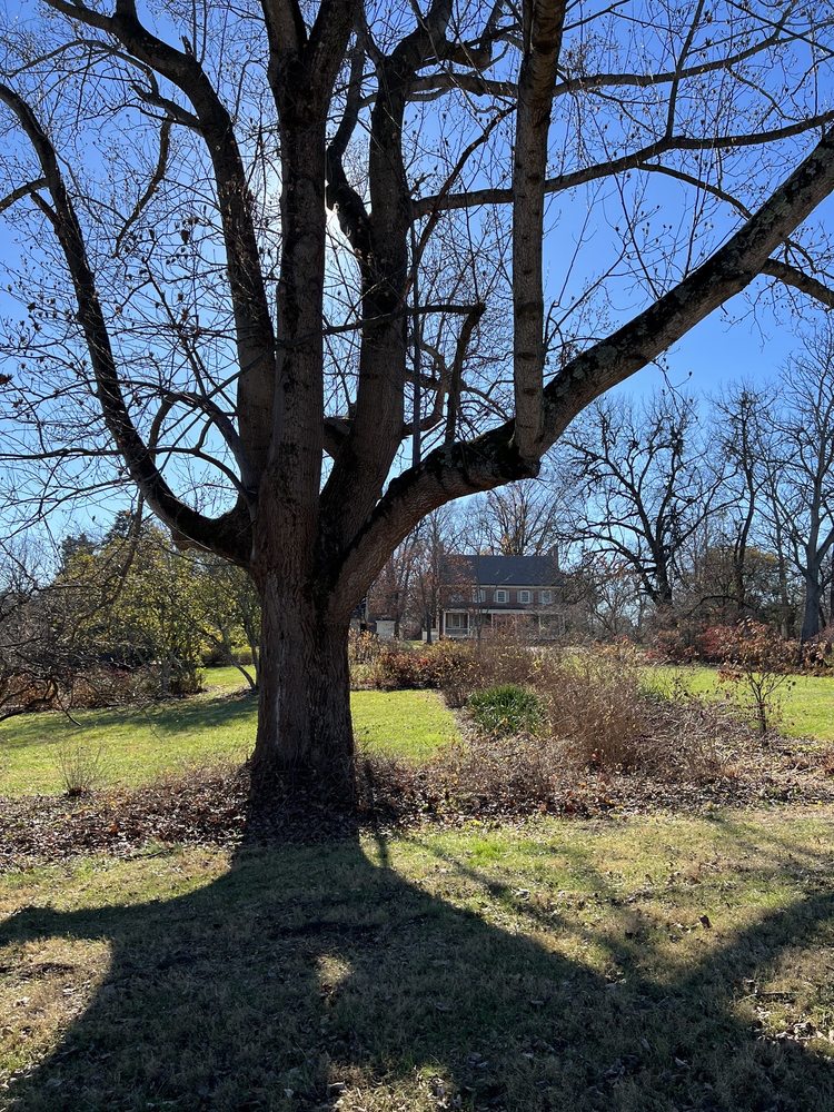 Photo of Locust Grove Historic Site