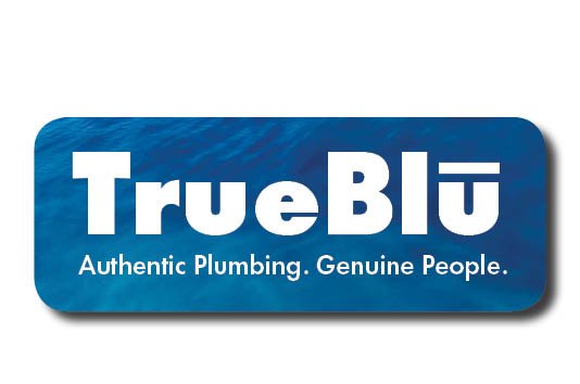 Photo of TrueBlu Plumbing