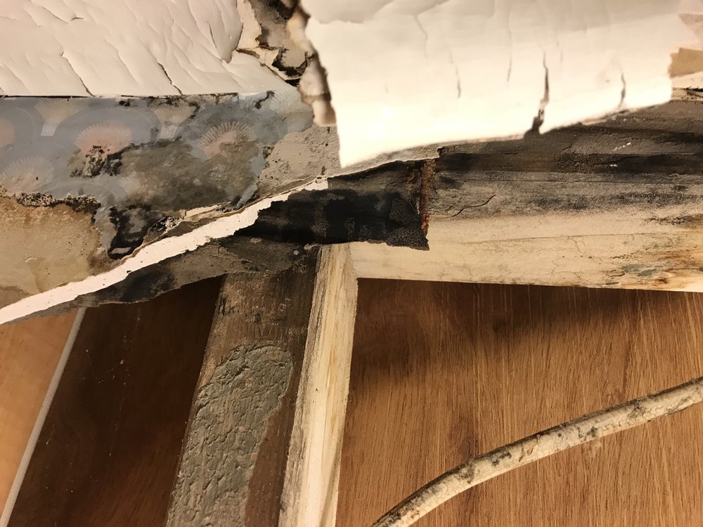 Photo of Maryland Damage Restoration