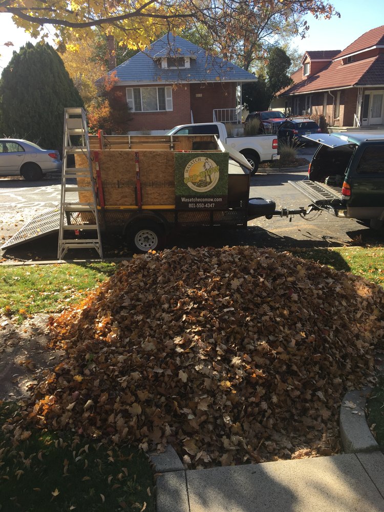 Photo of Wasatch Eco-Mow