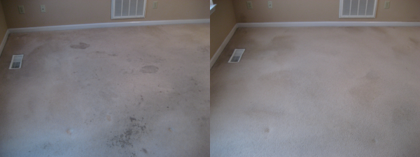 Photo of Drycon Nashville Carpet Cleaning
