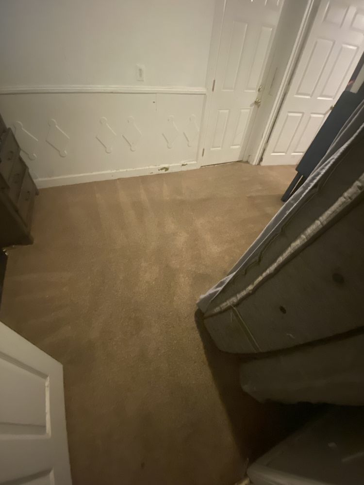 Photo of 7 Pillars Carpet and Upholstery Cleaning