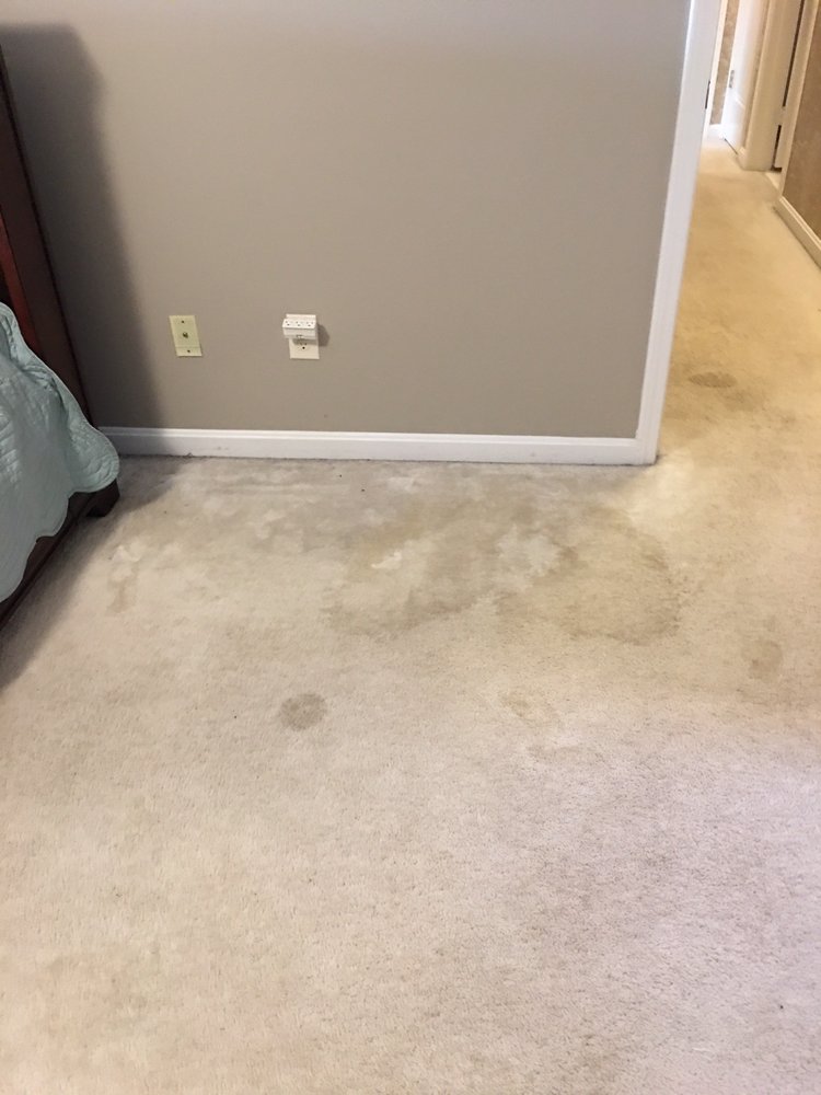 Photo of 7 Pillars Carpet and Upholstery Cleaning