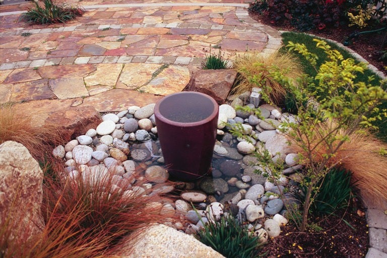 Photo of Michael Lee Landscape Architect