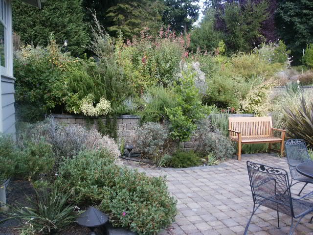 Photo of Michael Lee Landscape Architect