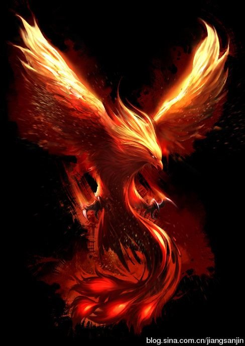 Photo of Phoenix Funding and Finance