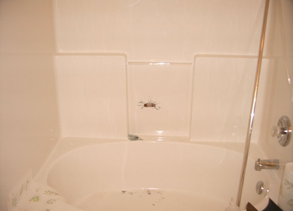 Photo of Surface Specialists