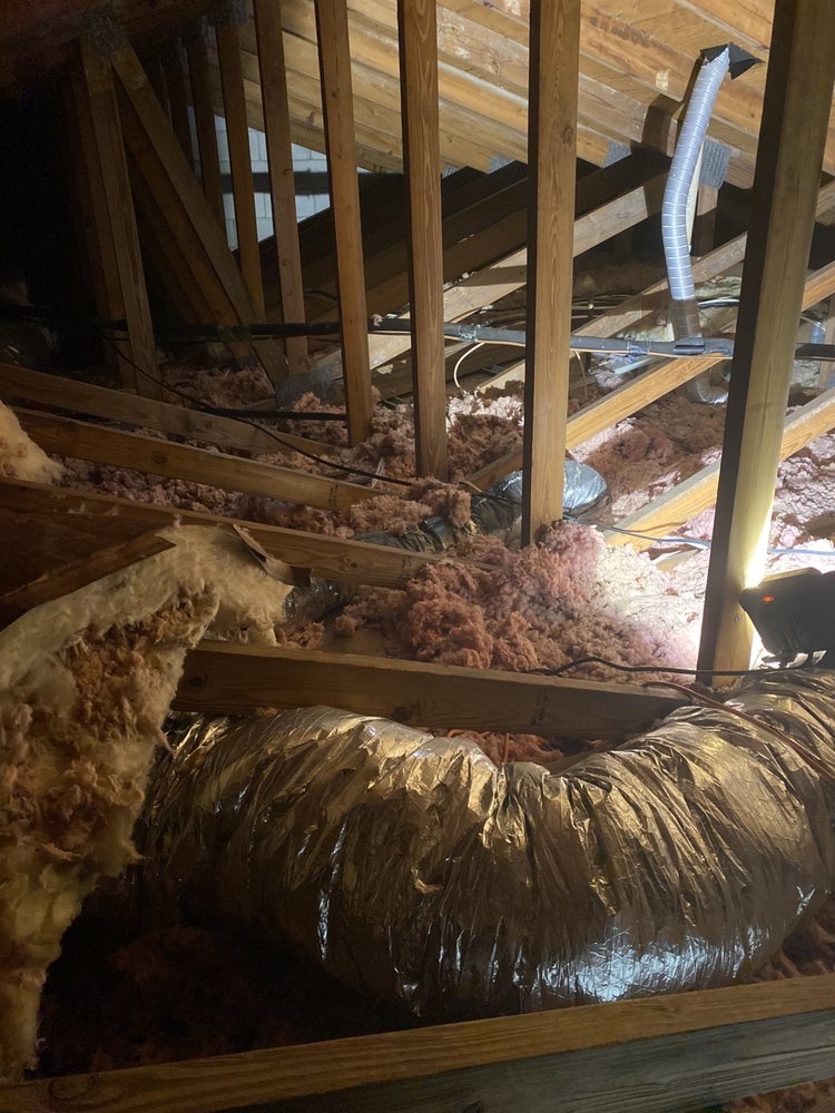 Photo of AceFoamInsulation