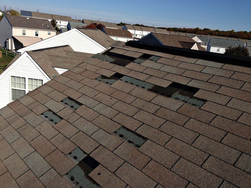 Photo of Gold Medal Roofing Contractor