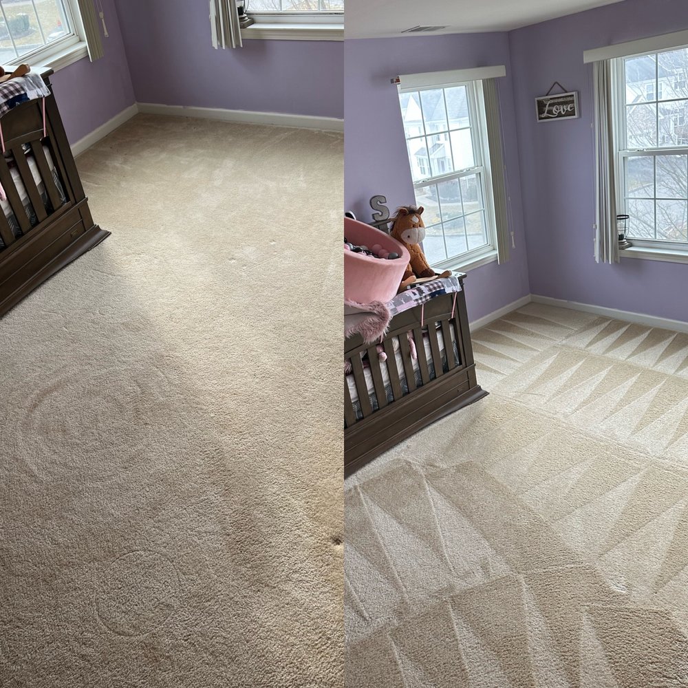 Photo of The Steam Team Carpet Cleaning