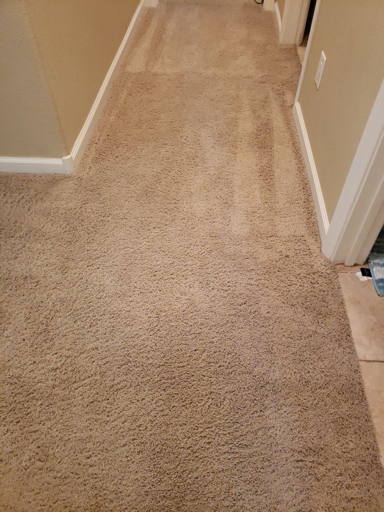 Photo of Oxi Fresh Carpet Cleaning