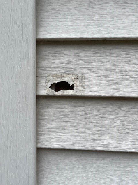 Photo of Krech Exteriors