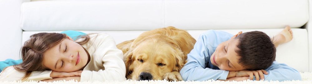 Photo of Nu-Way Carpet Cleaning