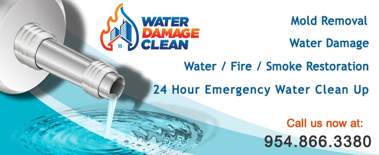 Photo of Water Damage Clean