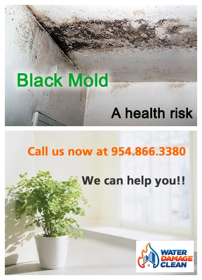 Photo of Water Damage Clean