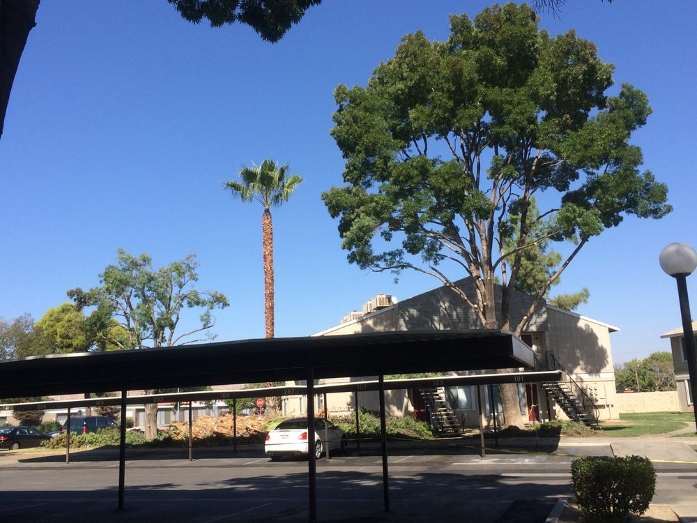 Photo of Paradise Gardens Landscaping LLC Tree & Concrete