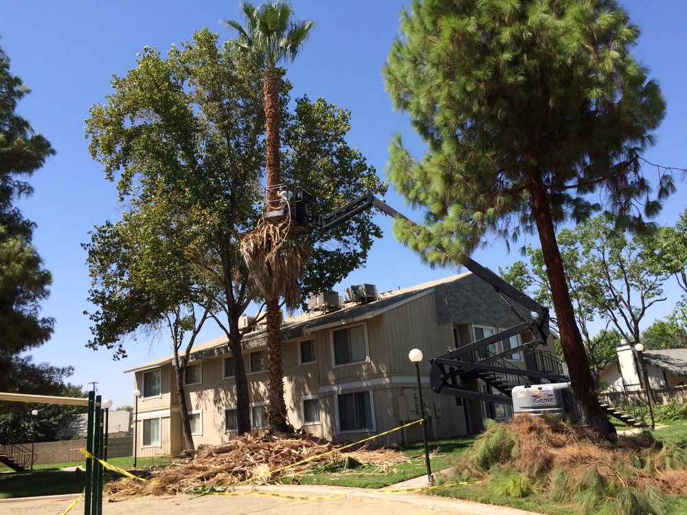Photo of Paradise Gardens Landscaping LLC Tree & Concrete