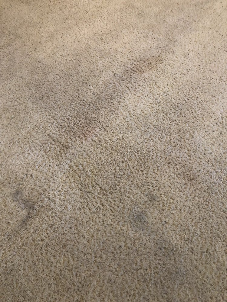 Photo of Oxi Fresh Carpet Cleaning