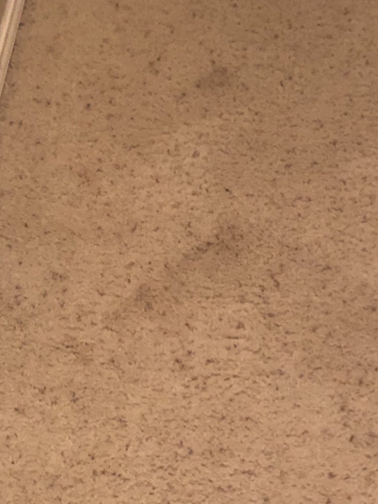 Photo of Oxi Fresh Carpet Cleaning