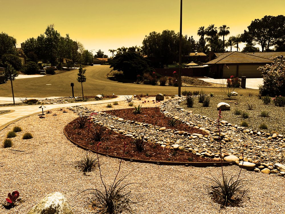 Photo of Infinite Sky Landscape Design