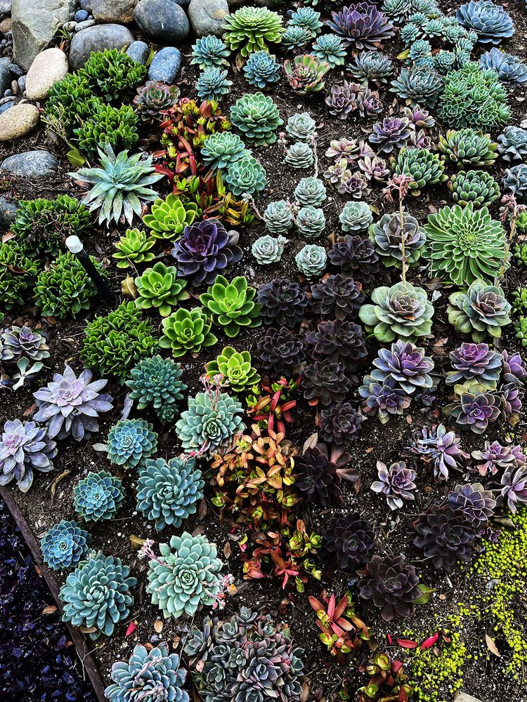 Photo of Infinite Sky Landscape Design
