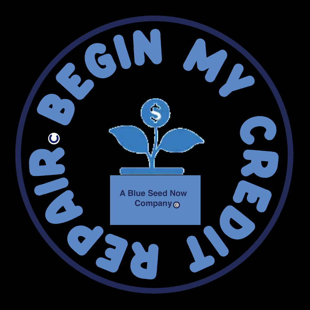 Photo of Blue Seed Now