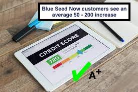 Photo of Blue Seed Now