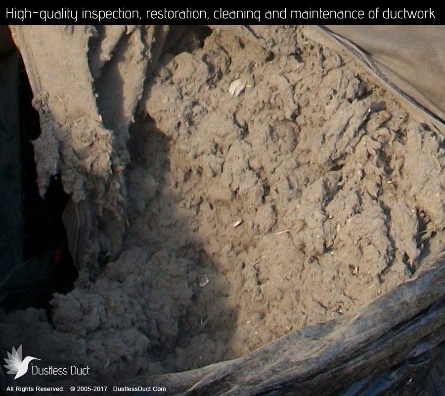 Photo of Dustless Duct