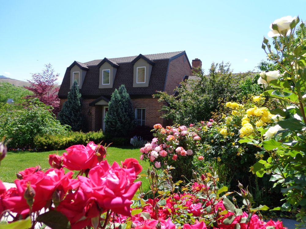 Photo of Shiner Real Estate