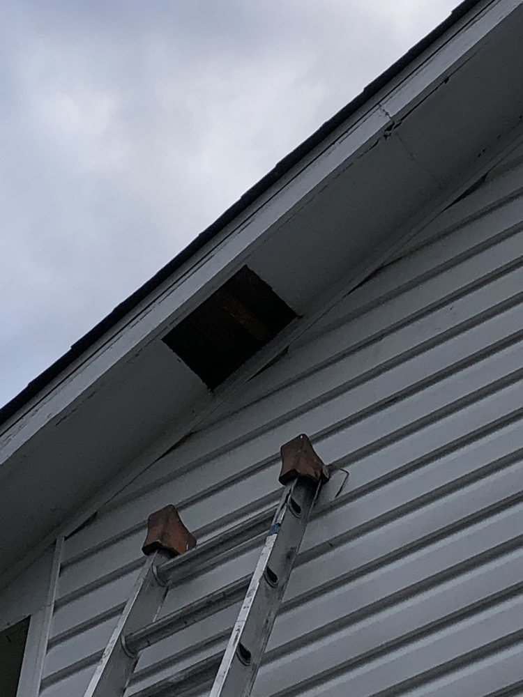 Photo of Mario's Handyman Service