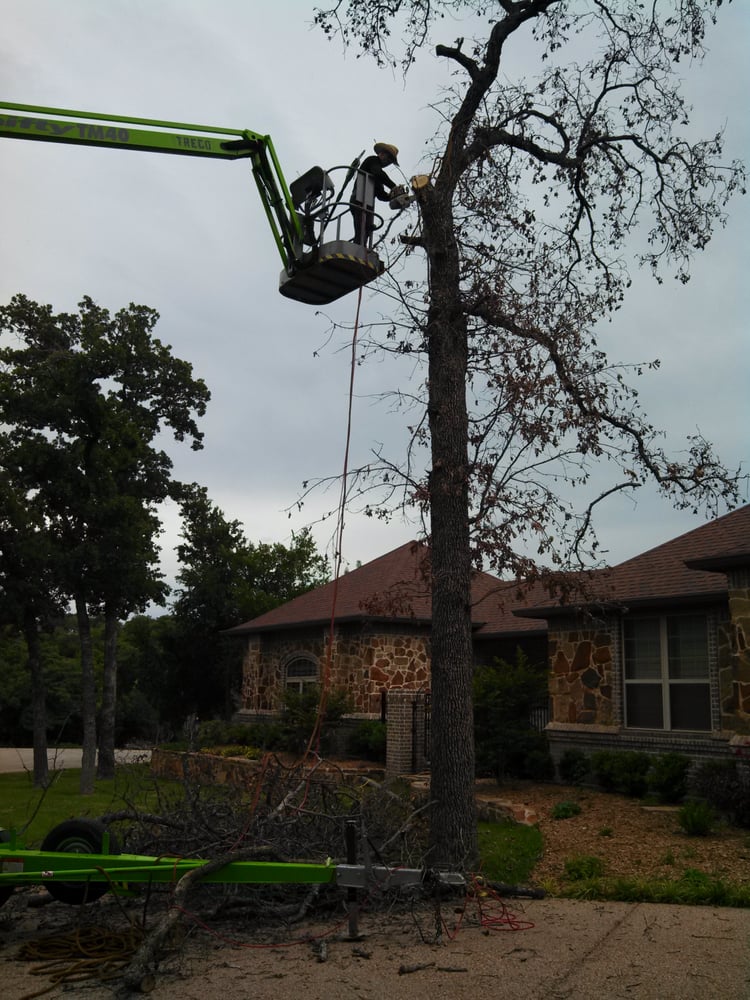 Photo of Cowtown Tree & Land