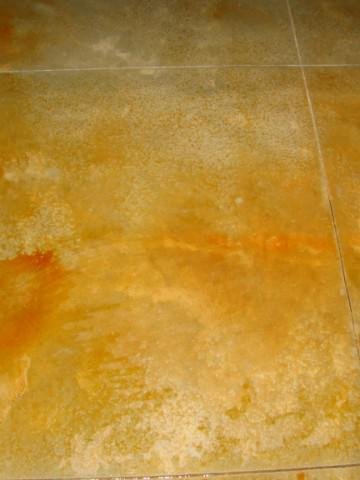 Photo of Carolina Concrete & Swimming Pools
