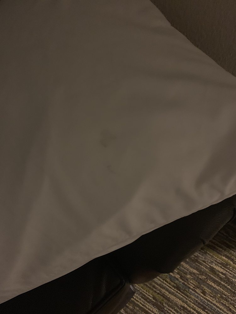 Photo of Sonesta Simply Suites Minneapolis Richfield