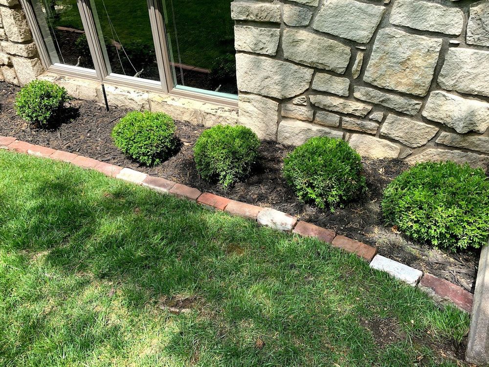 Photo of Capetillo Landscaping & Tree Service