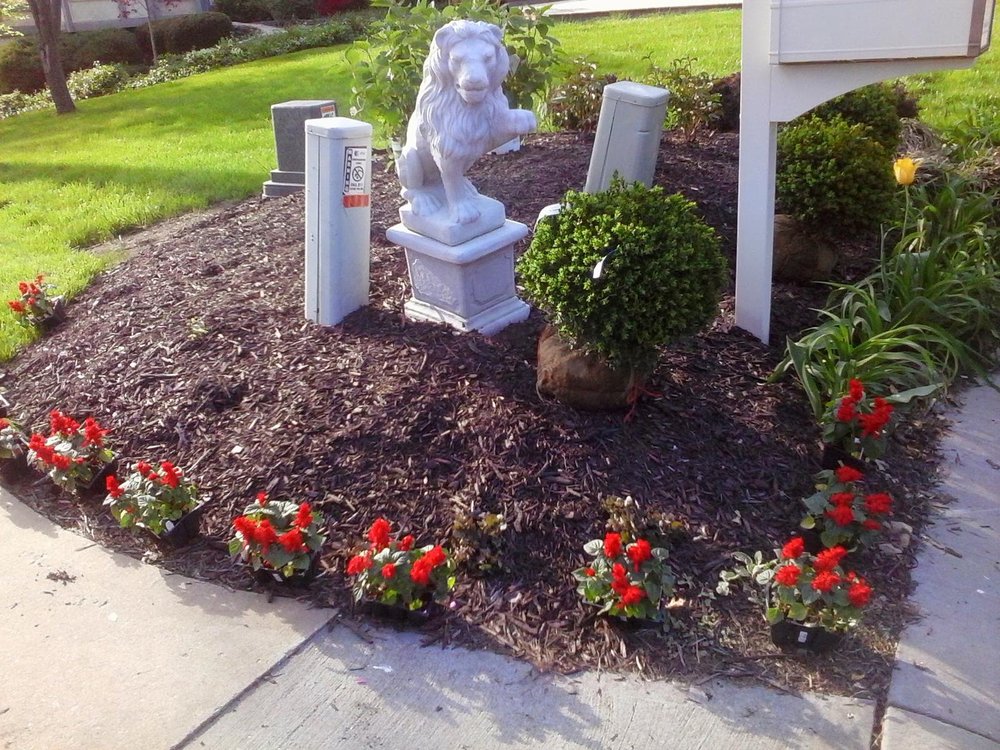 Photo of Capetillo Landscaping & Tree Service