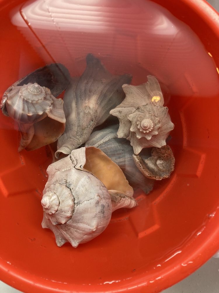 Photo of Tideline Tours