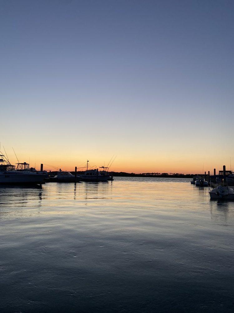 Photo of Tideline Tours