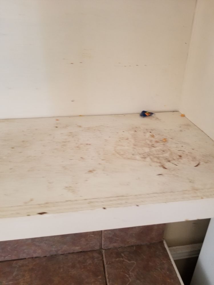 Photo of Stephanie's Cleaning Service