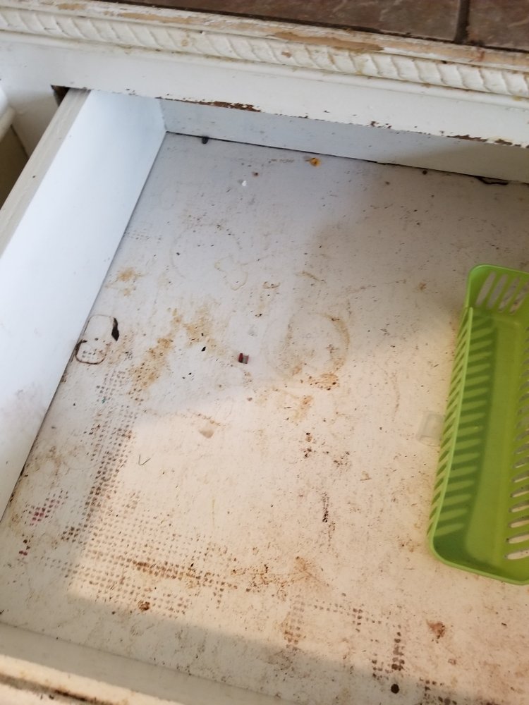 Photo of Stephanie's Cleaning Service