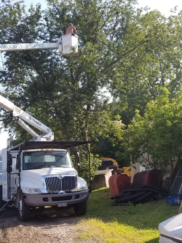 Photo of Greenwood Tree Service & Landscaping