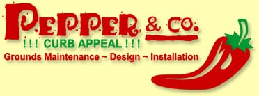 Photo of Pepper &