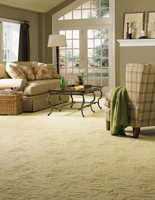 Photo of Stuart Quick Dry Carpet Cleaning