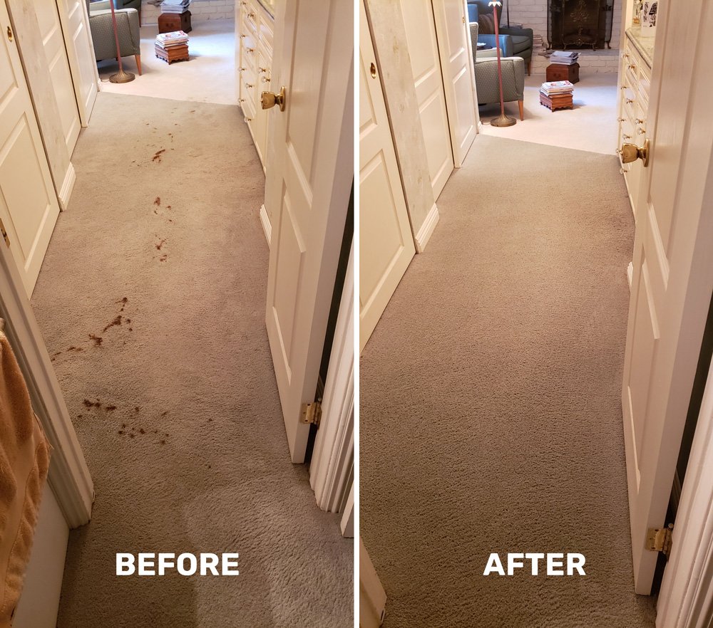 Photo of Stuart Quick Dry Carpet Cleaning