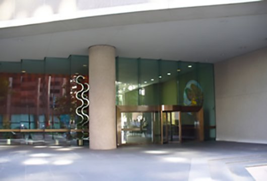 Photo of Suneva Webcasting