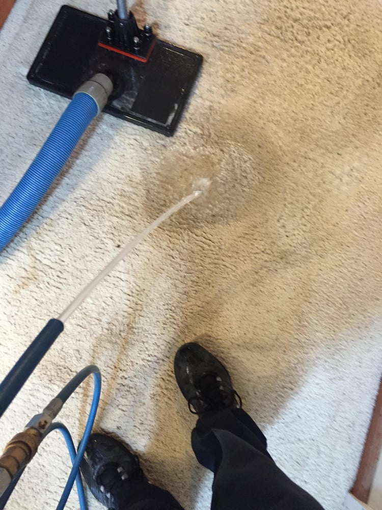 Photo of EverLush Cleaning Services