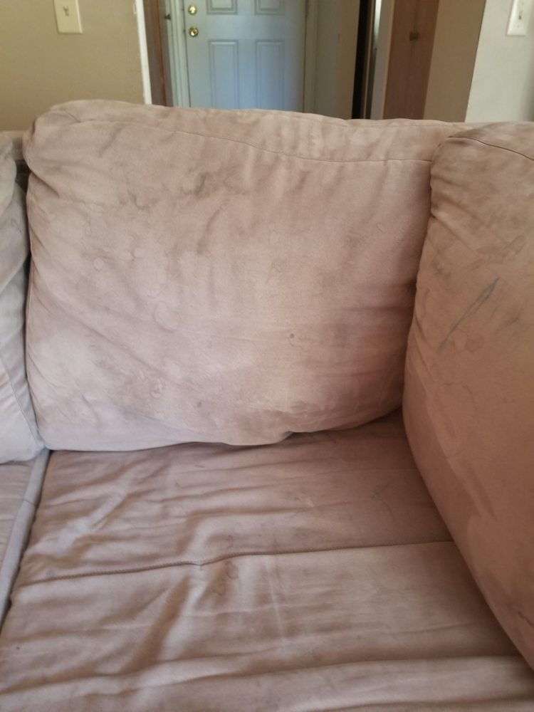 Photo of EverLush Cleaning Services