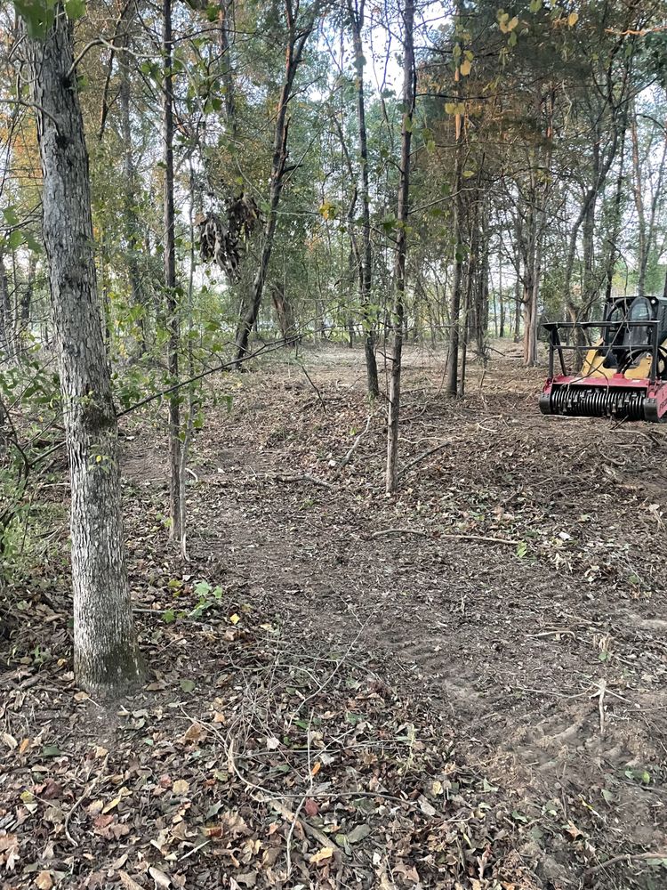Photo of Evans Excavating Mulching & Land Clearing
