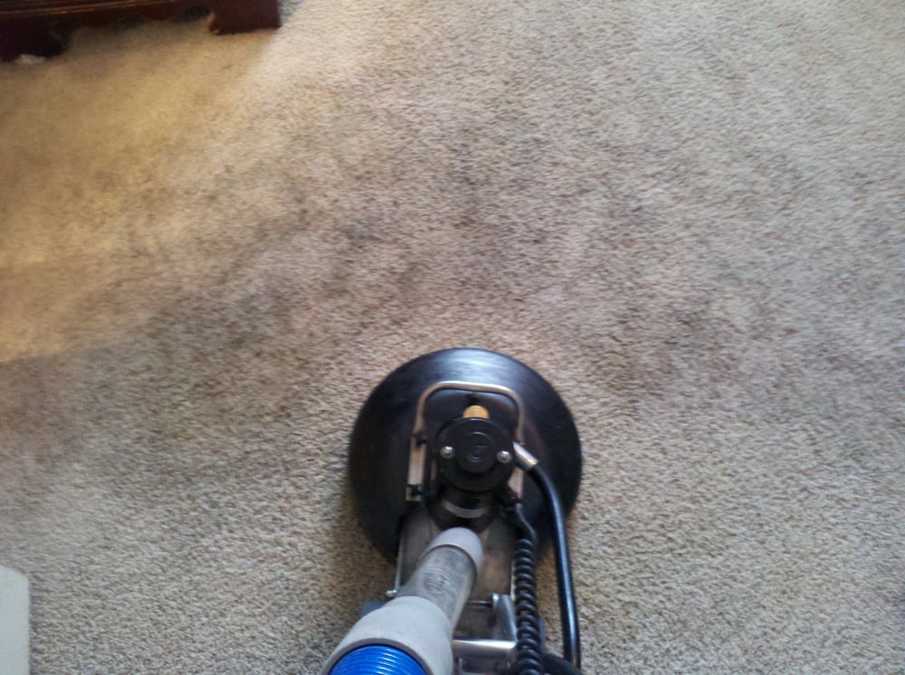 Photo of Class Act Carpet Cleaning
