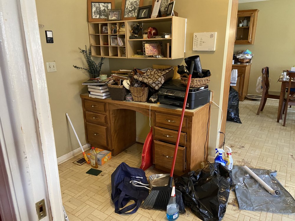 Photo of Steri-Clean